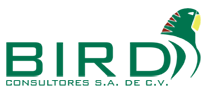 BIRD CONSULTORES, S.A. DE C.V.