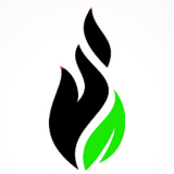 Anvika IT Solutions