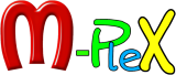 SEO Company in Delhi | M-pleX