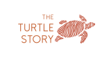 The Turtle Story