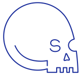Skeleton Crew Creative Studio