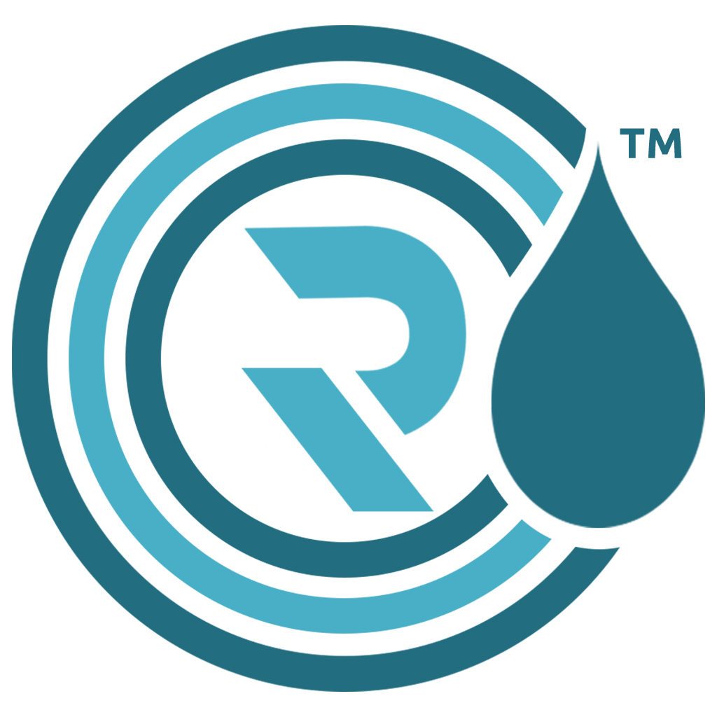 Rain Infotech Private Limited