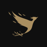 Elirius Media