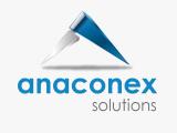 AnaConEx Solutions