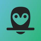 Tinkering Owl