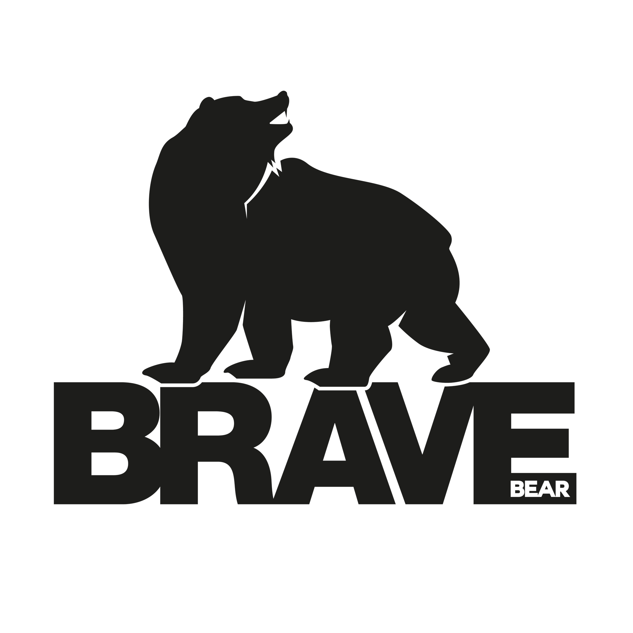 Brave Bear Marketing Ltd