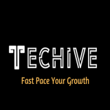 Techive online Solutions