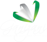 Ganizani Consulting