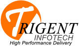 Trigent Infotech Pvt. Ltd.