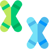 Fast Data Science