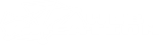 Web Creation