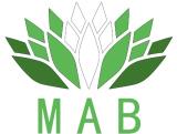 MAB Digital Marketing Agency