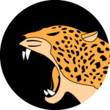 Jaguar Team