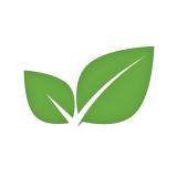 Mint Software