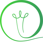 Ideare Communication