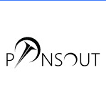 Pinsout