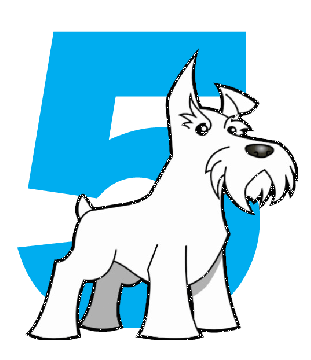 Five Dog Solutions