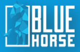 BlueHorse Software Solution Pvt Ltd