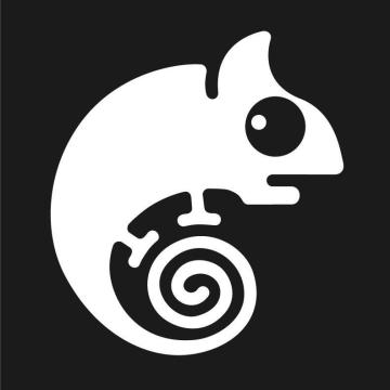 REPTILEHAUS Digital Agency Dublin