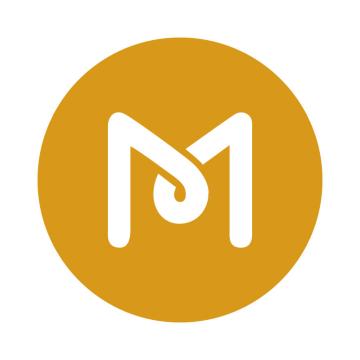 MS Web International Pte Ltd.