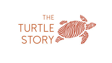 The Turtle Story