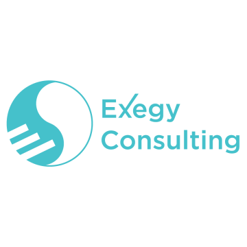 Exegy Consulting
