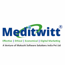 Meditwitt India Pvt Ltd