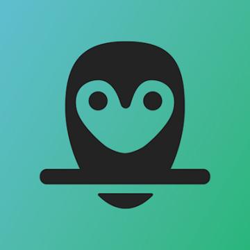 Tinkering Owl