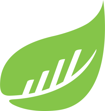 BusySeed