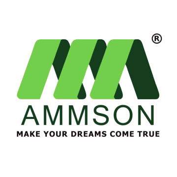 Ammson International Tech Solutions Private Limited