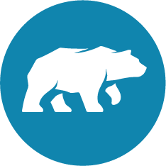 Black Bear Design