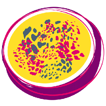 Passionfruit Creative