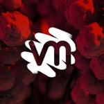 Visual Minds