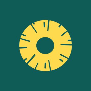 Pineapple UX/UI Studio