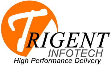 Trigent Infotech Pvt. Ltd.