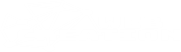 Web Creation