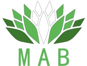 MAB Digital Marketing Agency