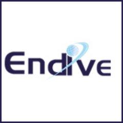 Endive Software
