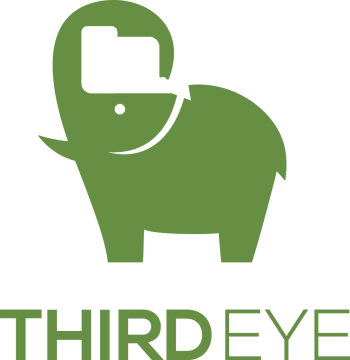 ThirdEye Data