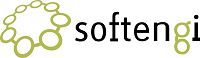 Softengi