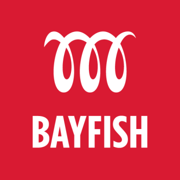 Bayfish Creative
