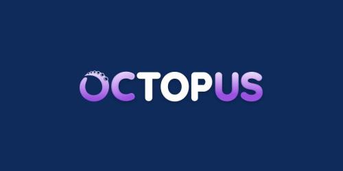 Octopus SEO Portfolio