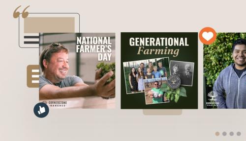 Helping an Award-Winning Agricultural Brand Drive