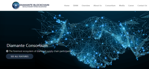 Diamond Consortium, Blockchain network setup and cryptocurrency development