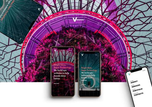 Veedoo agency