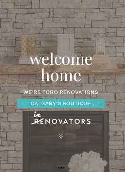 Toro Renovations