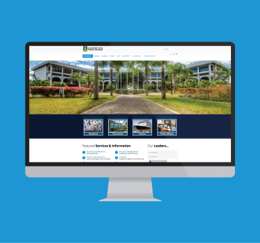 Deloitte BVI Technology Partner