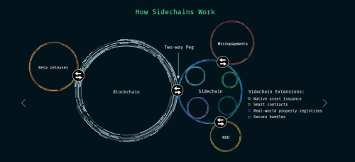 Gleipner: A permissioned blockchain network