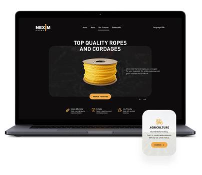 Nexim Ropes Website Development
