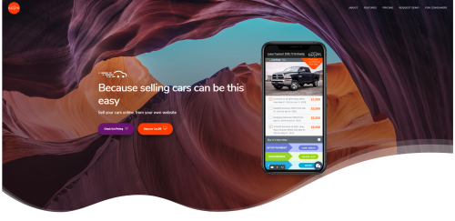 Complete Website Design, Dev, PR, PPC, SEO, SMM, Display, and Reputation Management Services for Automotive Industry disruptive APP